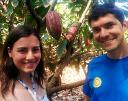 Cacao farming on Oahu