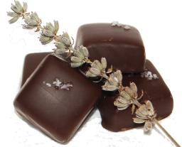 Top 10 Chocolatiers in North America 2009
