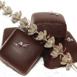 Top 10 Chocolatiers in North America 2009