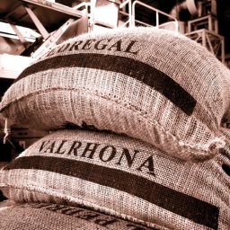 Tasting from French Star to Ecuador's Finest.