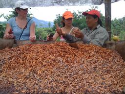 The Origin of Chocolate and Celebration of Indigenous Culture in Ecuador: Jan 7 - 17th 2011