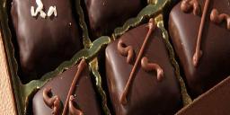 'The World of Chocolate' at the 4th annual Bucks County Chocolate Show