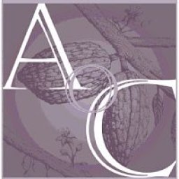 2009 Academy Of Chocolate Awards