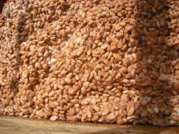Chocolate Making Class Bean to Bar