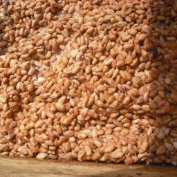 Chocolate Making Class Bean to Bar