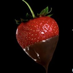 The Chocolate Ball