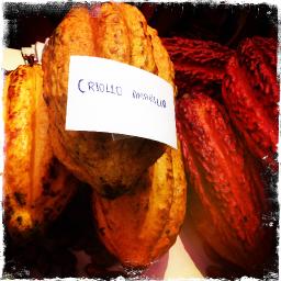 Salon del Cacao y Chocolate & La Ruta del Cacao