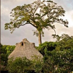 Gnosis Chocolate/ChocolateLife Chocolate Retreat at Cotton Tree Lodge, Belize in Feb 2010