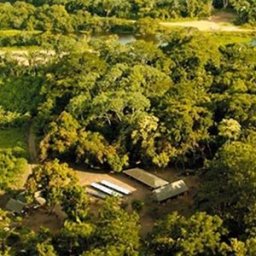 Postponed: A Journey to the Origin of Wild Cacao