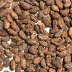 Piura White Beans 2.jpg