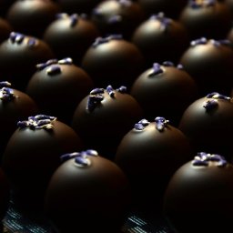 SELEUŠS-Chocolatess-B407-Wild-Lavender-Honey-8488.jpg