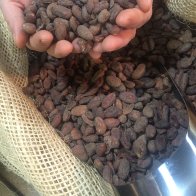 Beans