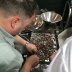 Sorting the beans