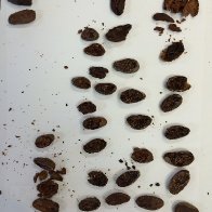 Cut test