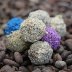 ProductTruffle-Teaser