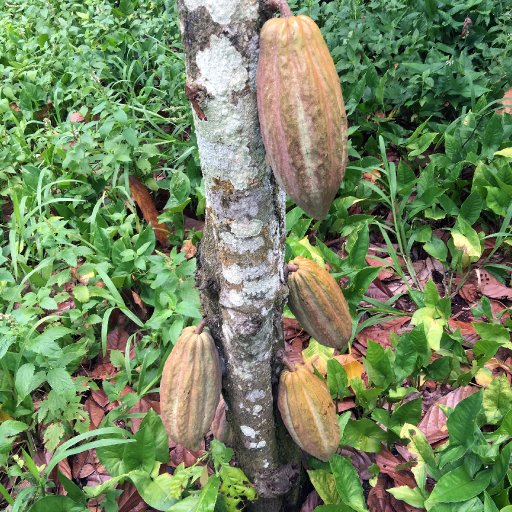 Found on Hacienda la Malinche