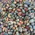 Pile of Pods - Finca Esperanza