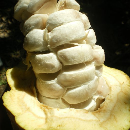 IMGP0119