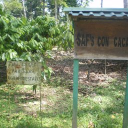 IMGP0054.JPG.jpg