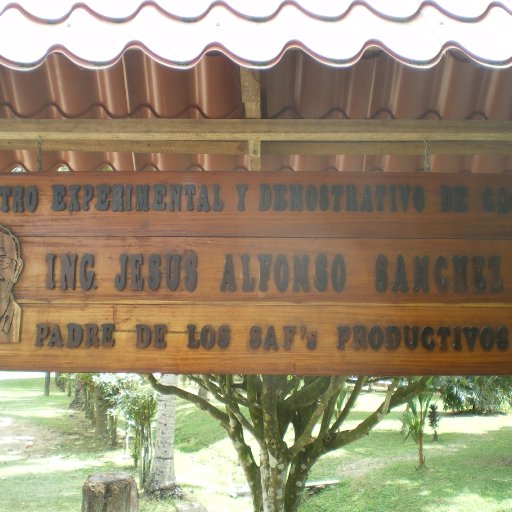IMGP0077