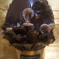 IMG-20190318-WA0020