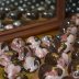 DSC_1022 (2) (800x533)
