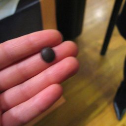 The Chocolate Show: Smallest Chocolate Sample EVER