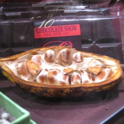 The Chocolate Show: Logo and Pod