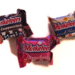 Fall 3 Musketeer Minis