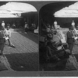 Stereograph Sorting Cacao