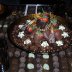 Godiva's Chocolate Room in NYC Feb2008