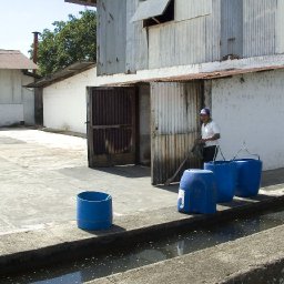 fermentation hut