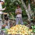 cacao "hunters"