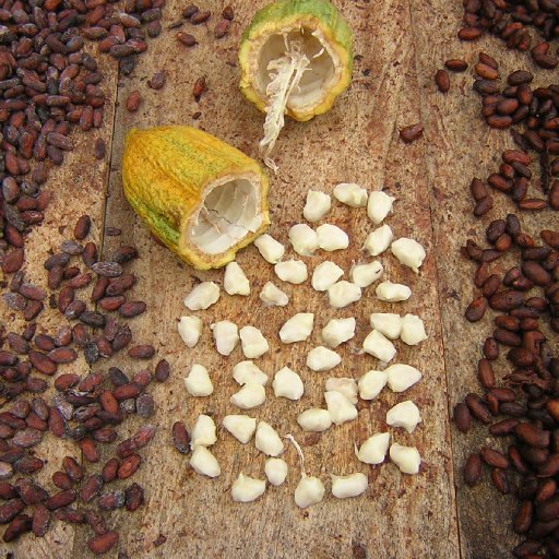 bean count