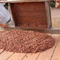 fermented beans