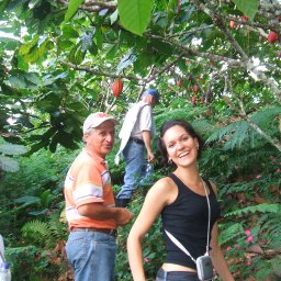 Cacao Farm in Santander