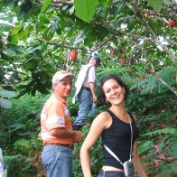 Cacao Farm in Santander