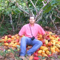 Cacao Farm in Santander 1