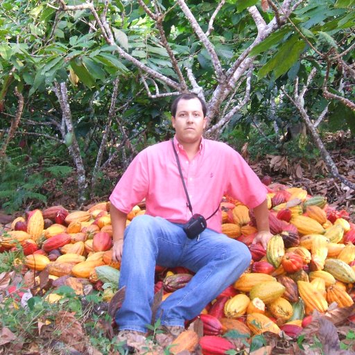 Cacao Farm in Santander 1