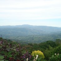 View from the Farm (Tamesis)