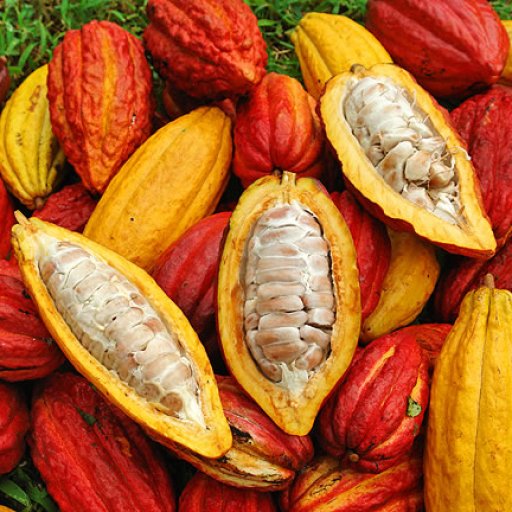 mixed pods 