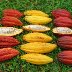 pod types 