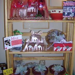 Winter Booth 1 - 2008