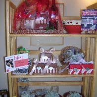 Winter Booth 1 - 2008