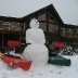 life in 2008 1224