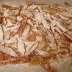 candied citrus peels