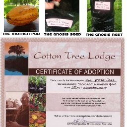 The Gnosis Tree Project