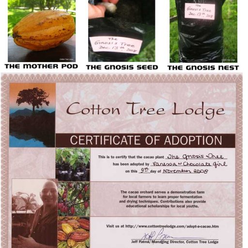 The Gnosis Tree Project