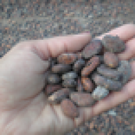 cocoahand