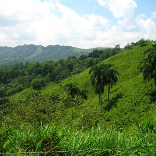 Farm